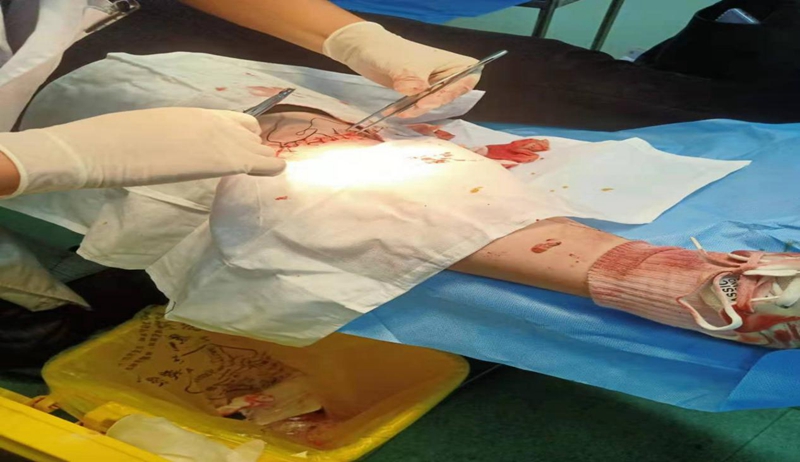 图片3.jpg 图片3.jpg