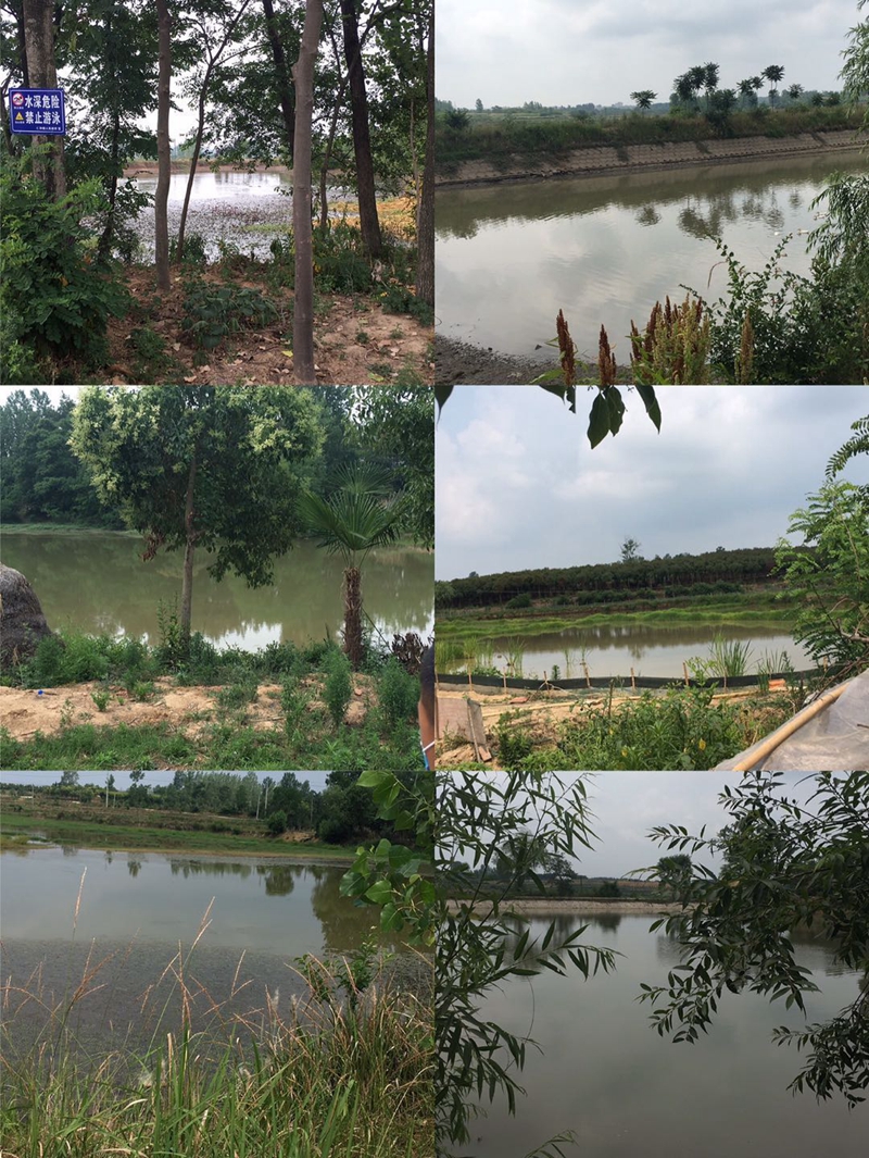 图片7.jpg 图片7.jpg