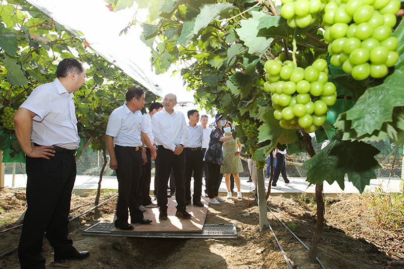 县委书记赵军伟带队赴市内县区学习考察