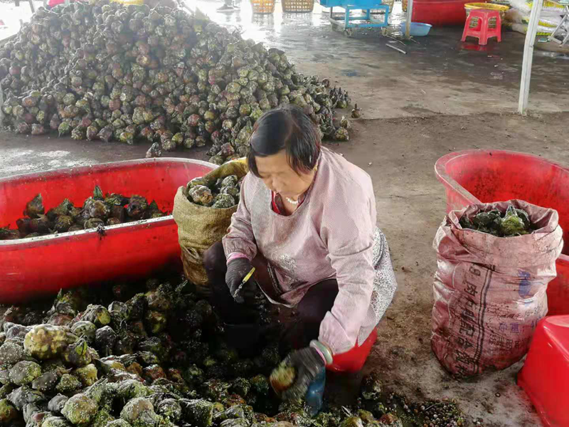 图片18.png 图片18.png