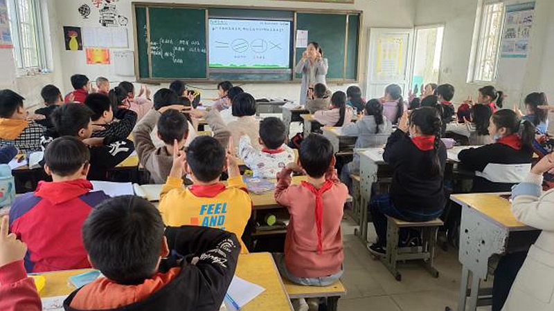 图片5.jpg 图片5.jpg