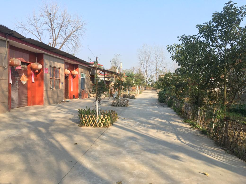 图片5.png 图片5.png