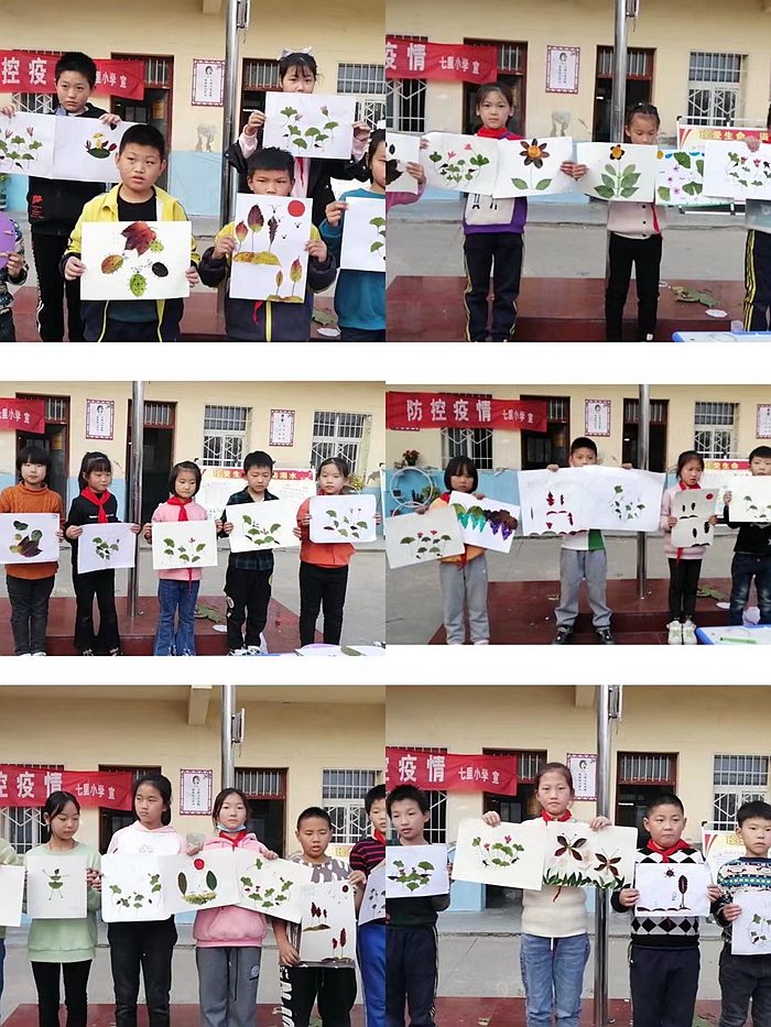图片6.jpg 图片6.jpg