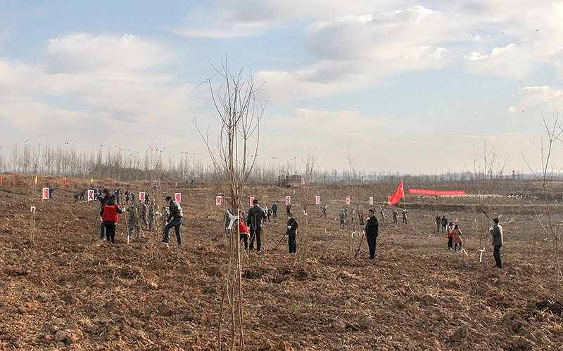 图片2.jpg 图片2.jpg