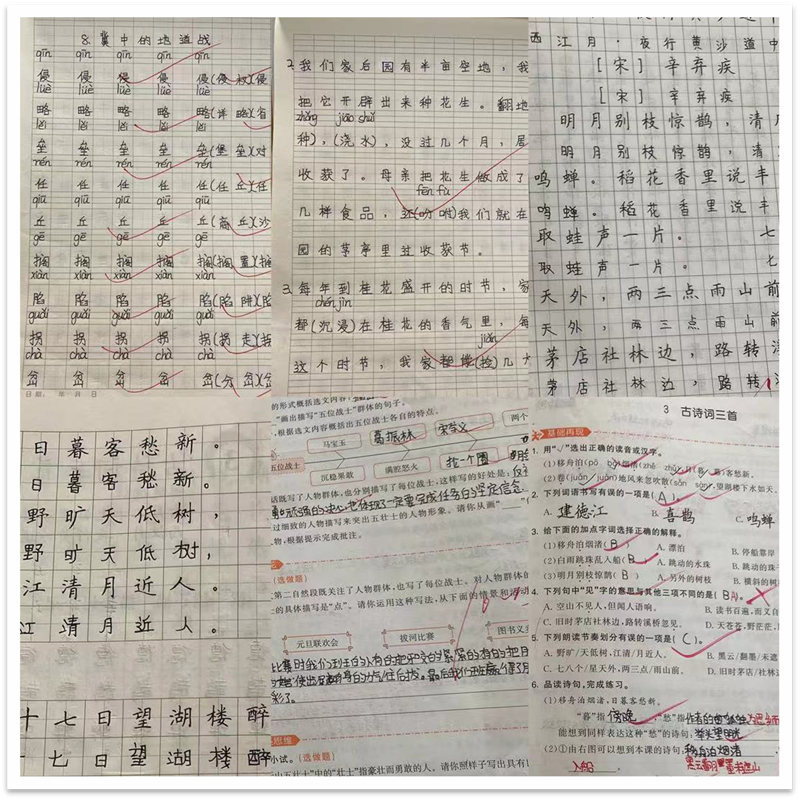 图片5.png 图片5.png