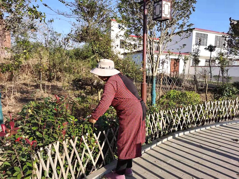 图片10.jpg 图片10.jpg