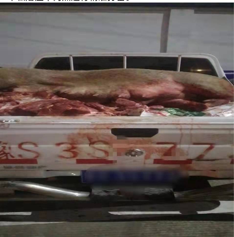 图片3.jpg 图片3.jpg