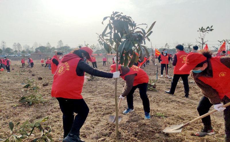 图片1.jpg 图片1.jpg