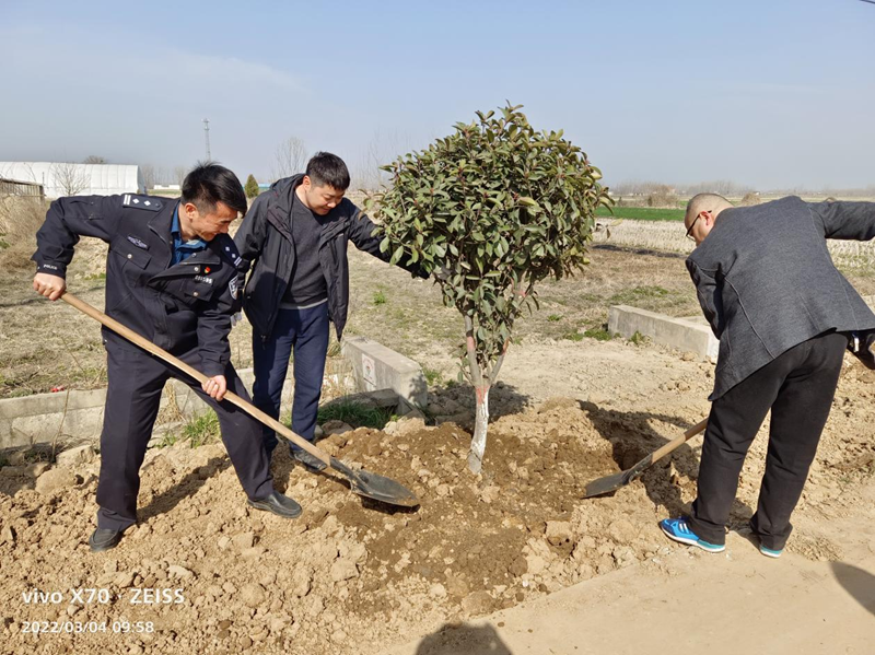 图片41.png
