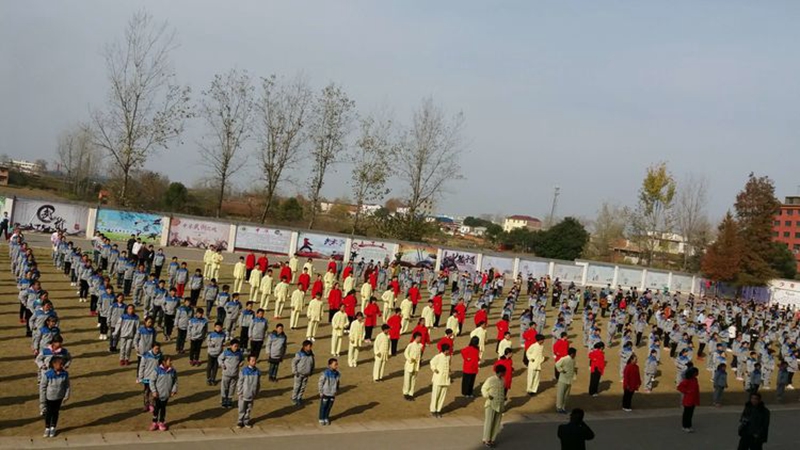 43.jpg 43.jpg