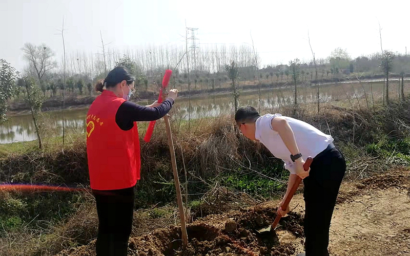 图片2.jpg 图片2.jpg
