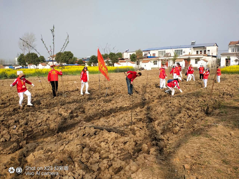 图片4.jpg 图片4.jpg