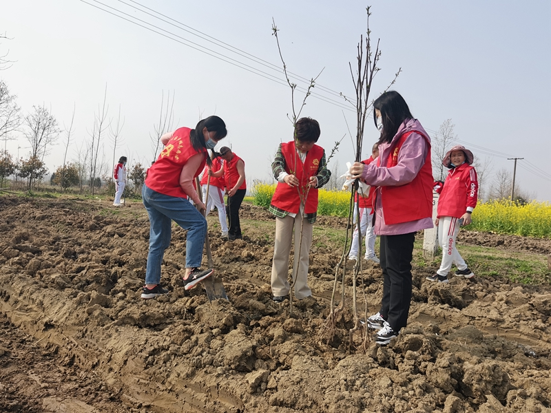 图片3.jpg 图片3.jpg