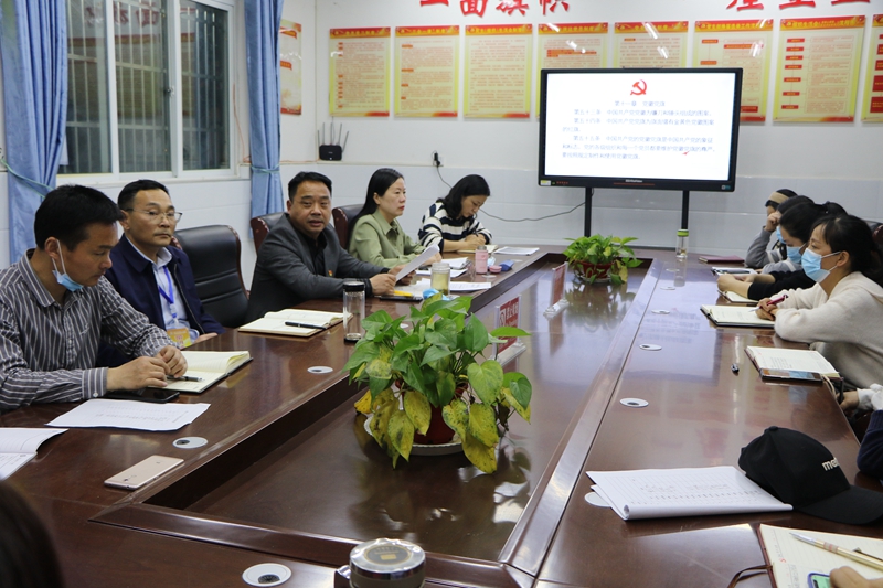 潢川一小党支部开展“汲取信仰力量 坚定理想信念”三月份主题党日活动5.JPG