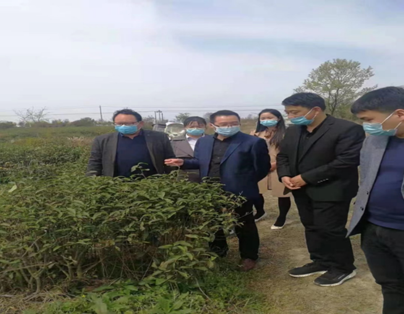 图片31.png 图片31.png