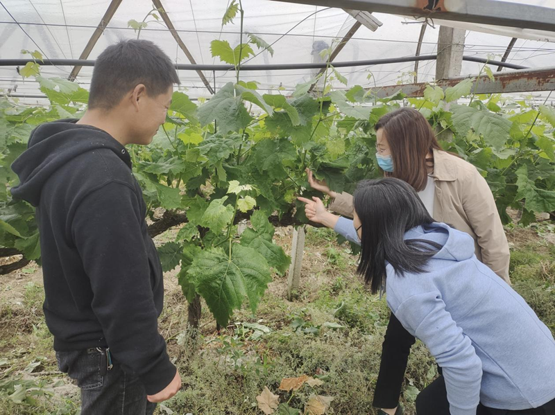 图片2.png 图片2.png