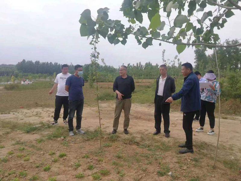 图片20.png 图片20.png