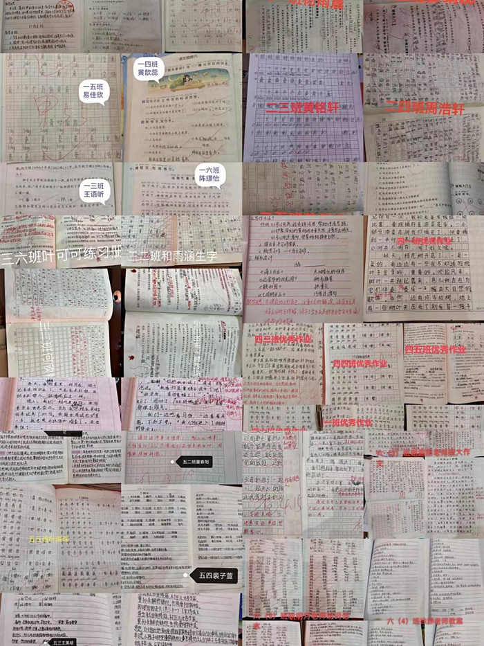 图片3.jpg 图片3.jpg