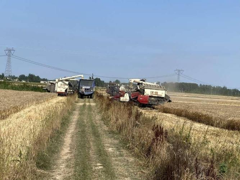 图片23.png 图片23.png