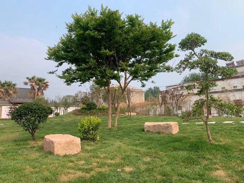 图片1.jpg 图片1.jpg