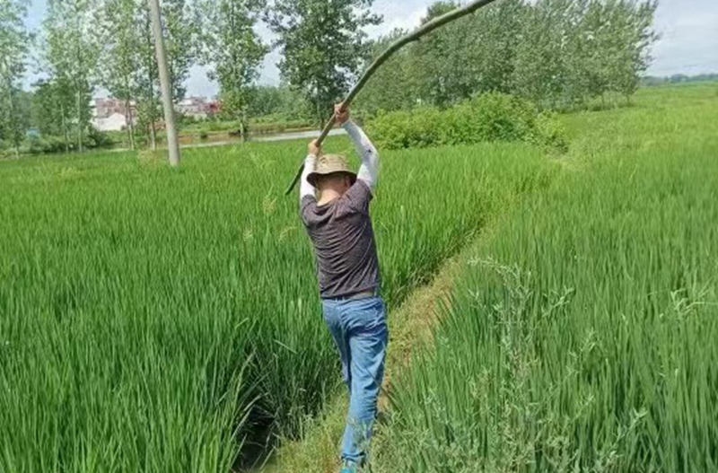 微信图片_20220711165238.jpg 微信图片_20220711165238.jpg