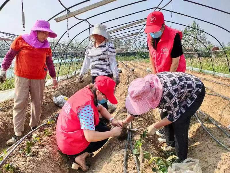 微信图片_202209151820515.jpg 微信图片_202209151820515.jpg