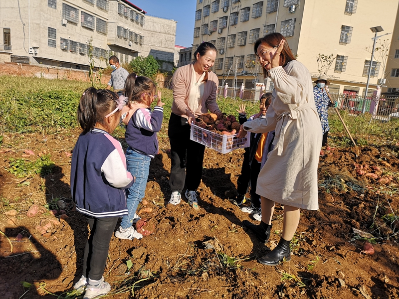 运红薯(2).jpg 运红薯(2).jpg