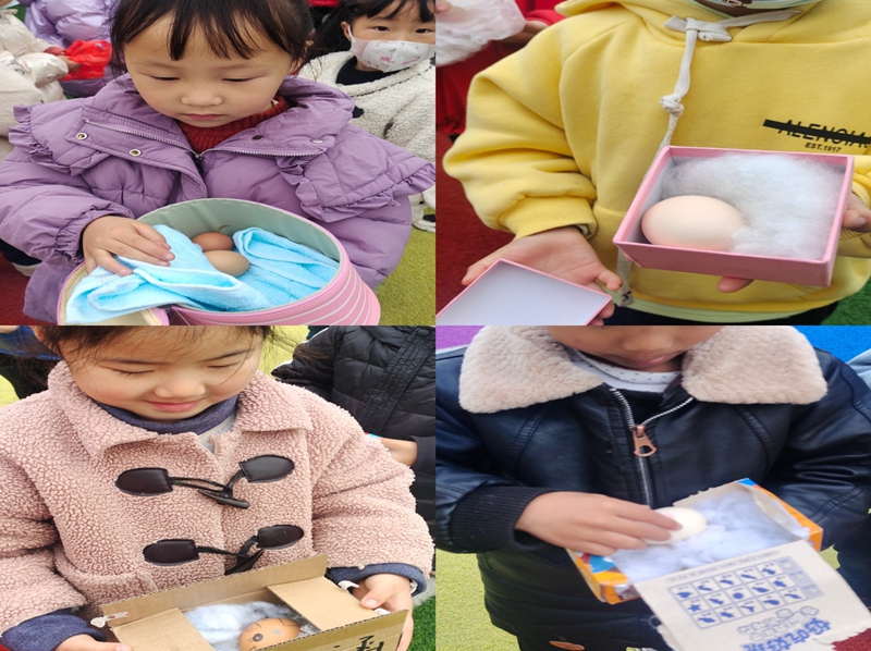 图片5.jpg 图片5.jpg