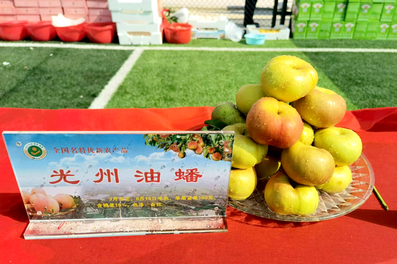 图片31.png 图片31.png