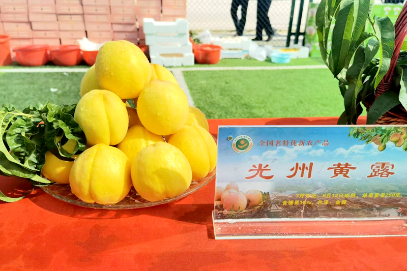 图片32.png 图片32.png