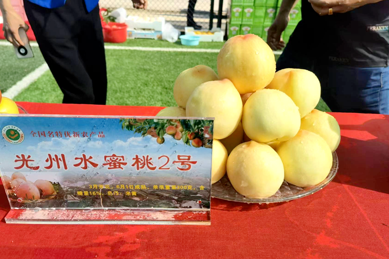 图片33.png 图片33.png