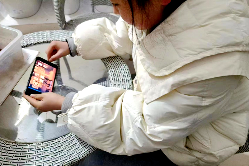 图片48.png 图片48.png