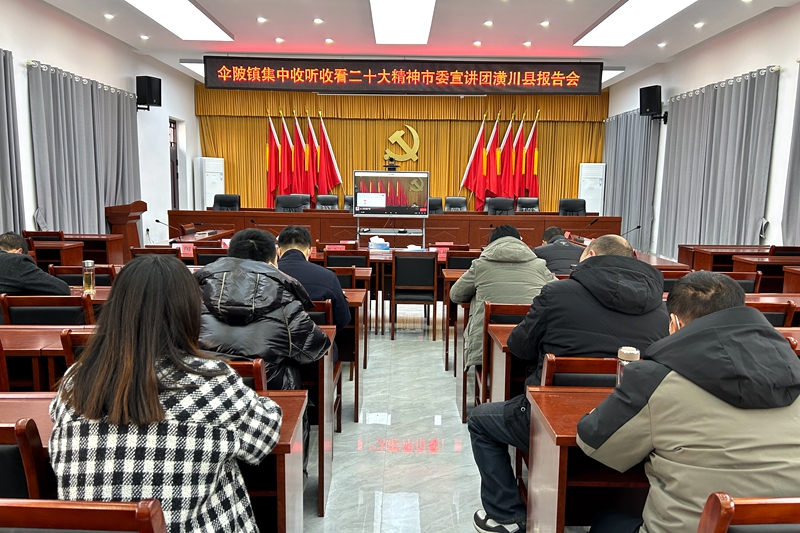 伞陂会场 (1).JPG