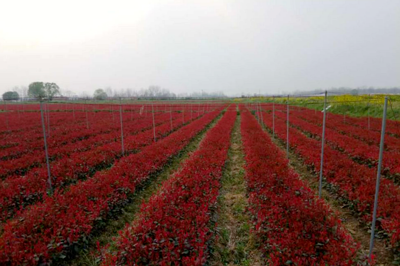 微信图片_20221229182412.png 微信图片_20221229182412.png