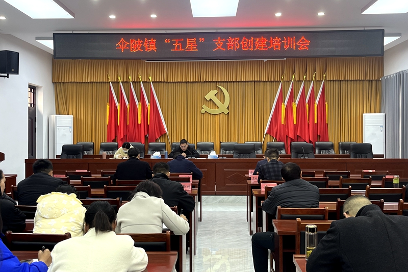 伞陂五星支部创建培训会现场照片 (2).JPG