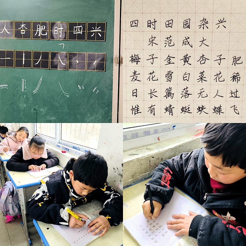 图片5.jpg