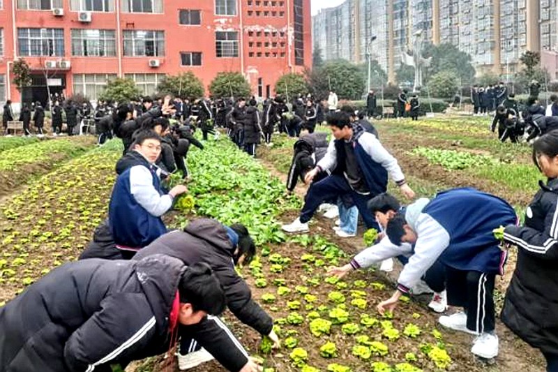 图片1.jpg