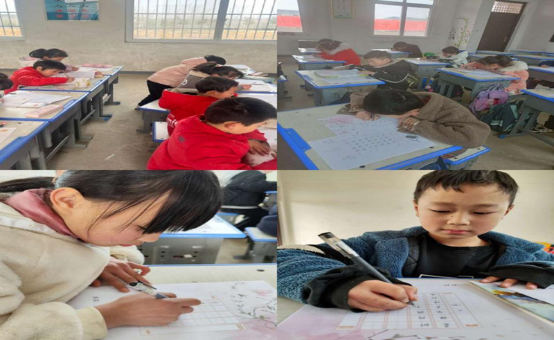 图片13.png 图片13.png