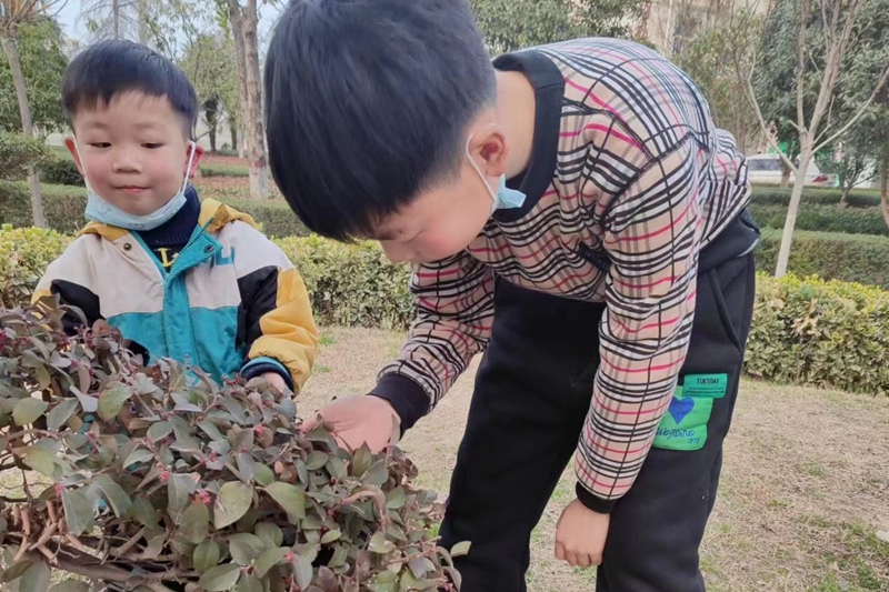 惊蛰3.jpg 惊蛰3.jpg