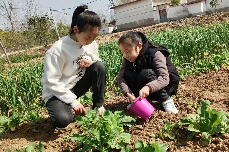 惊蛰6.jpg 惊蛰6.jpg