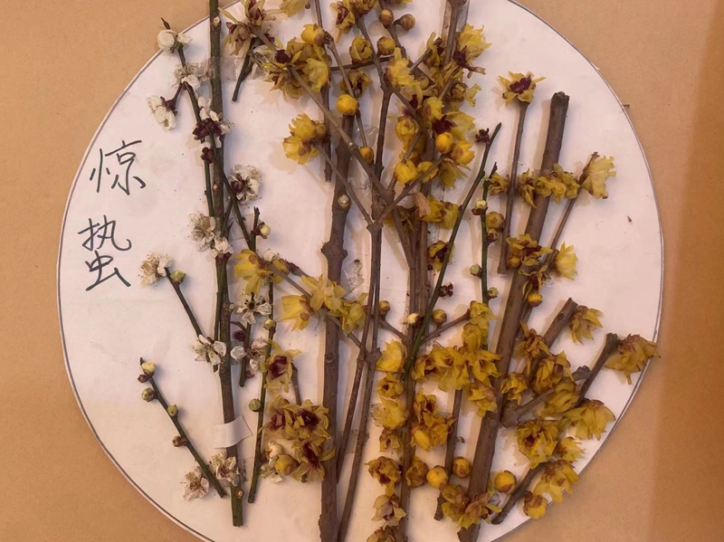 惊蛰14.jpg 惊蛰14.jpg