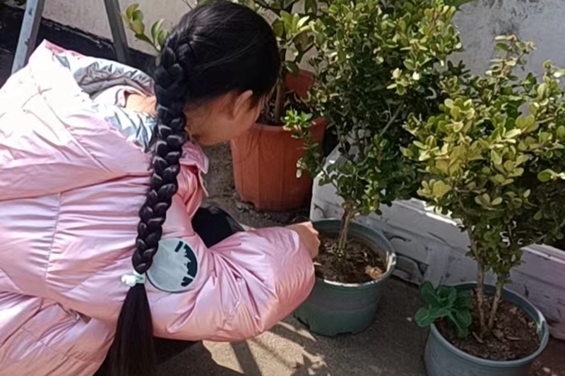 惊蛰21.jpg 惊蛰21.jpg