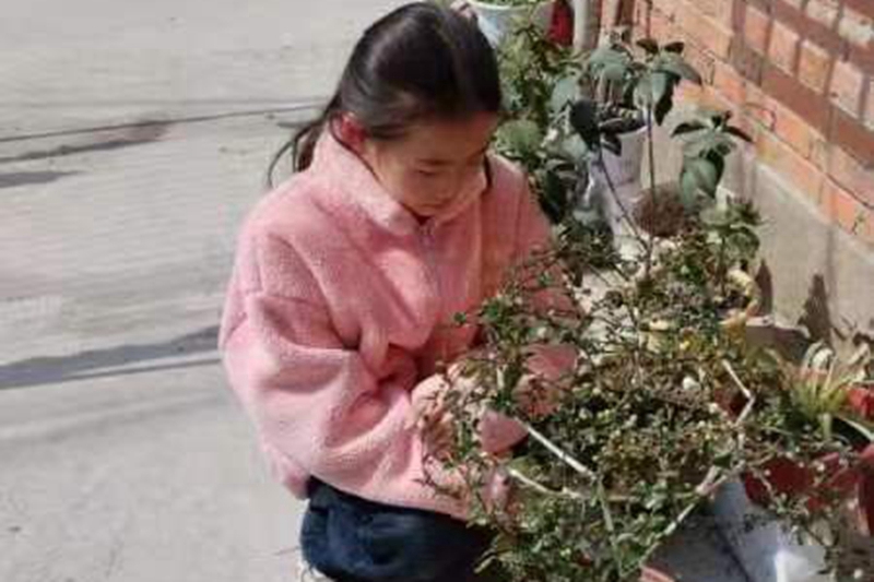 惊蛰22.jpg 惊蛰22.jpg