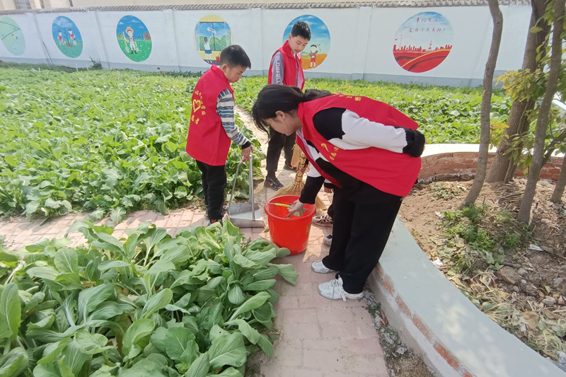 图片5.png 图片5.png