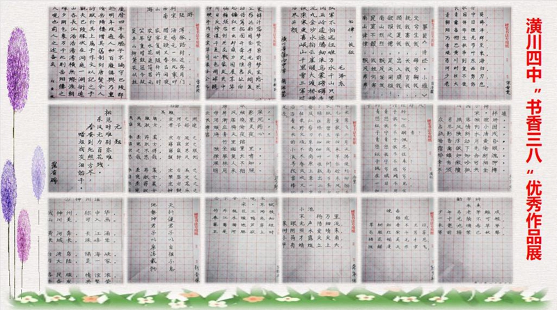 图片2.jpg 图片2.jpg