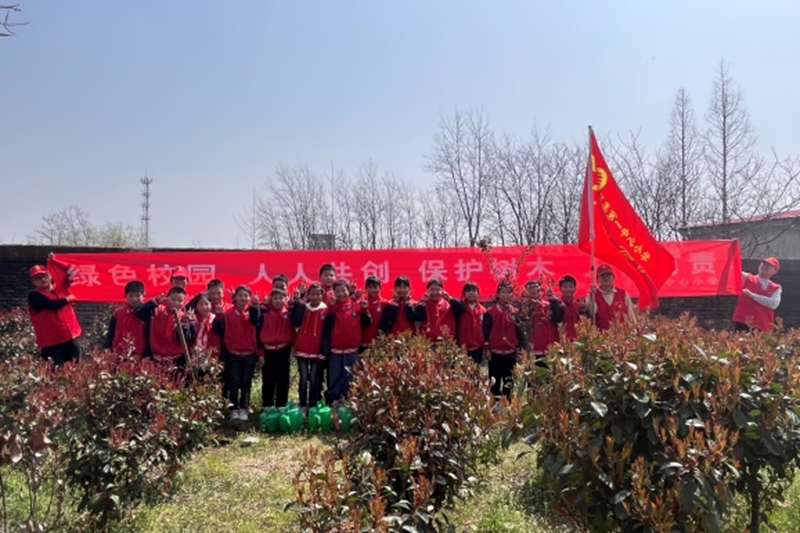 图片35.png 图片35.png