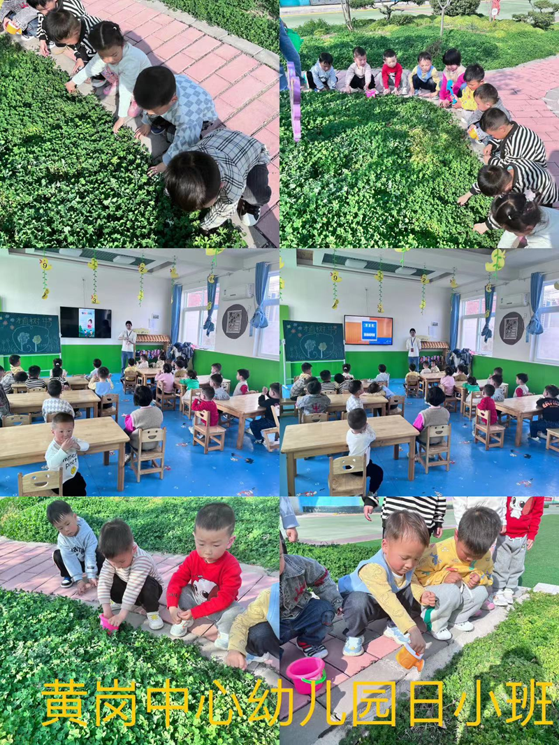 图片37.png 图片37.png