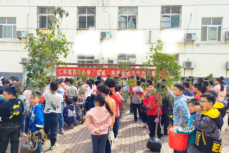 图片65.png 图片65.png