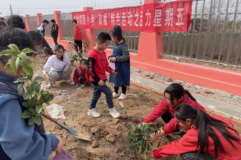 图片69.png 图片69.png