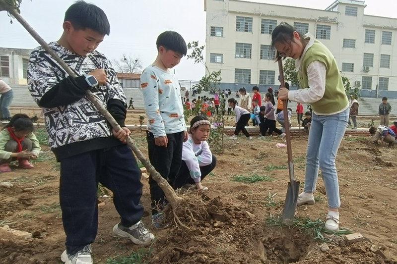 图片72.png 图片72.png